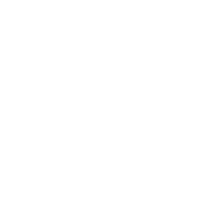 Individual Rights